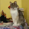 Отзыв от Анастасия Федосеева